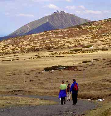 Wandern
