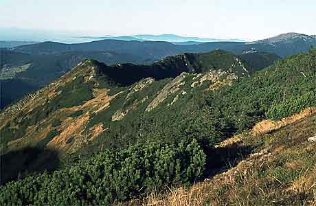 Kristallkalksteine (Gneise, Glimmerschiefer, Phyliten, Quarziten)