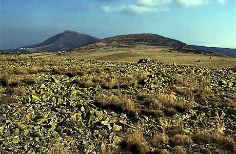 Steinerne Polygone