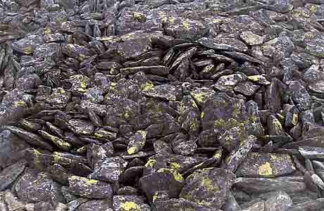 Steinerne Polygone