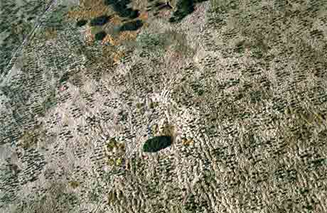 Steinerne Polygone